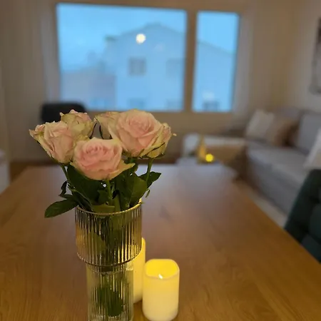 Aurora Avenue By R&k *