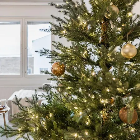 Aurora Avenue By R&k *