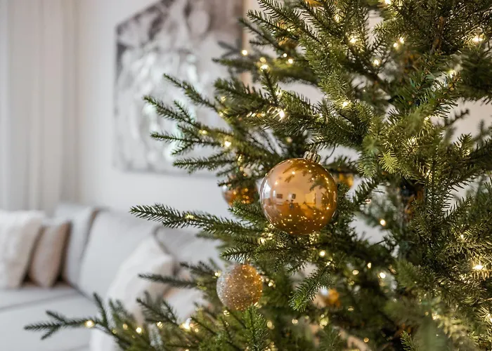 Aurora Avenue By R&k * רובניימי